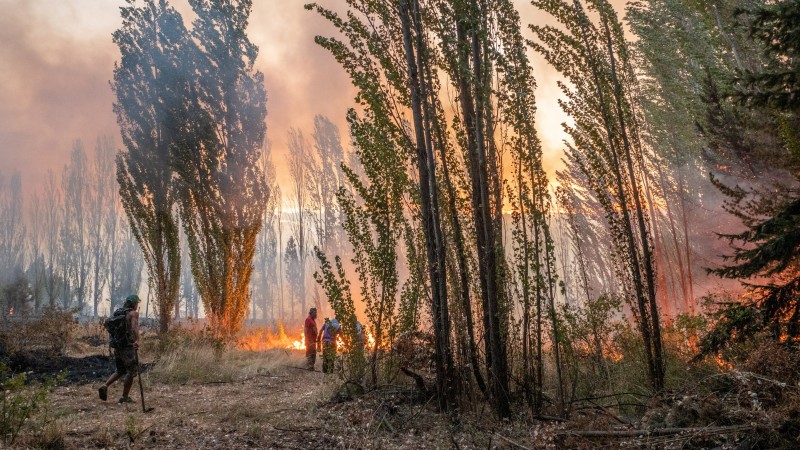 Nuevos incendios: la culpa es de los mapuches