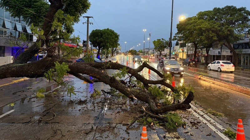 Una vez ms la lluvia hizo destrozos en Crdoba