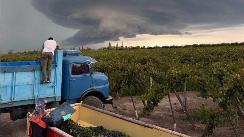 La Tormenta azot el Este y provoc prdidas totales