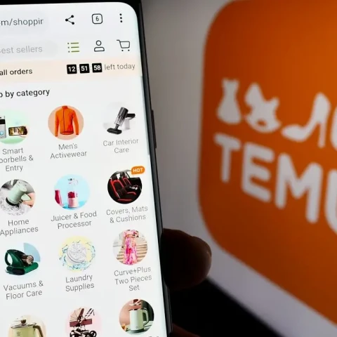 El orígen de Temu ¿cómo se creó?