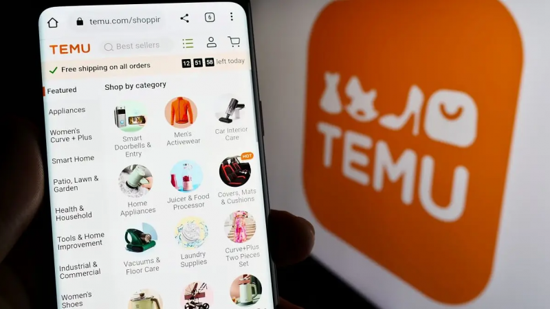 El orgen de Temu cmo se cre?