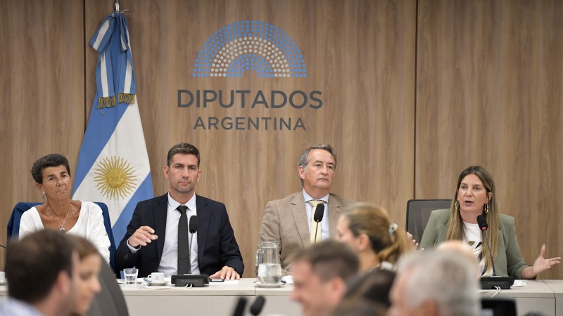 La Ficha Limpia llega al Senado: cundo se realizara la votacin para convertir el proyecto en ley