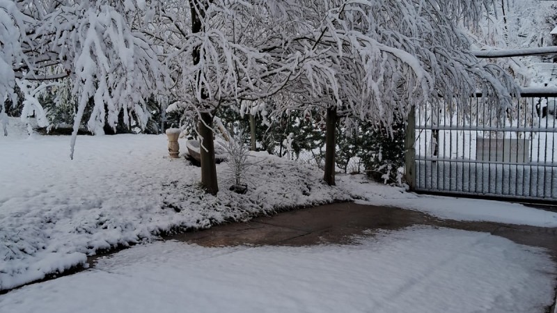 Potrerillos amaneció vestido de blanco: llegó la nieve 