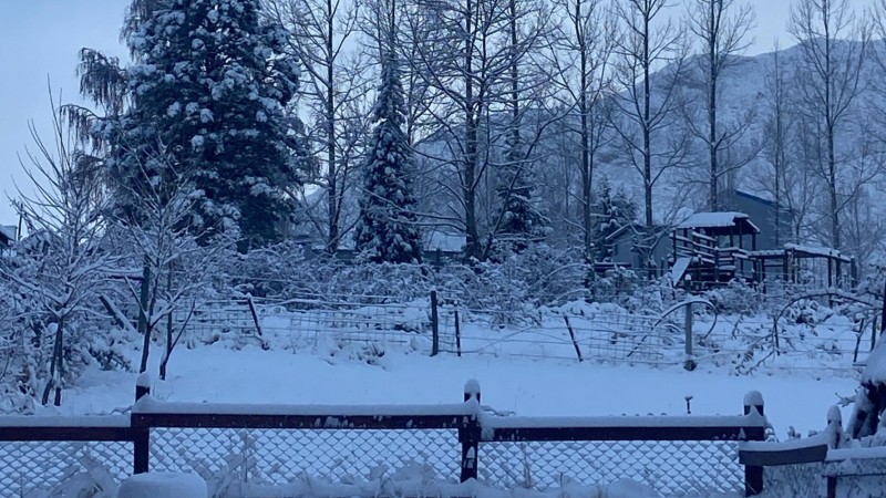 Habr ms nevadas?