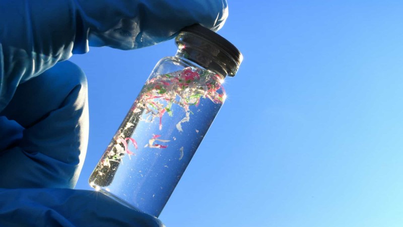 Los microplsticos ya estn en tu cuerpo: advierten sobre sus efectos en rganos vitales