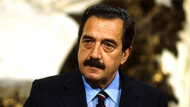 Quin hace de Ricardo Alfonsn en la serie de "Menem"?