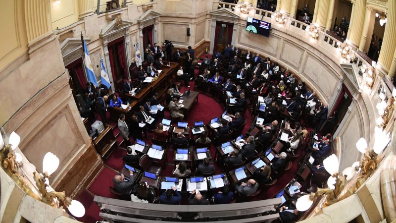 El Senado reactivar la emergencia en discapacidad, pero hay una disputa entre los bloques por el temario