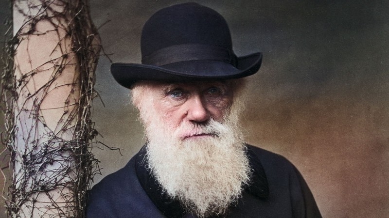 Cmo fueron las visitas de Darwin a Argentina?