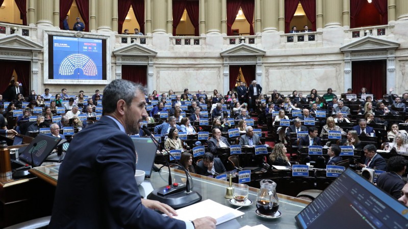 Garrahan y Universidades: sesin especial en Diputados para tratar los vetos de Javier Milei