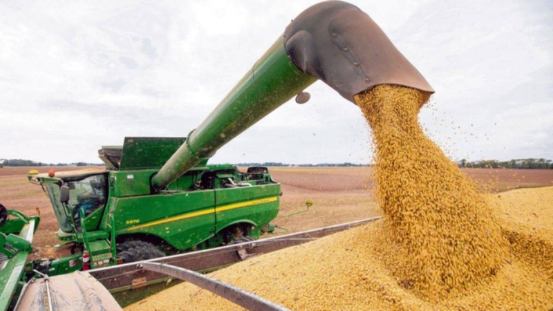 Se reactivan las retenciones: en solo 3 das el agro agot el cupo de USD 7.000 millones al 0% puesto por el Gobierno