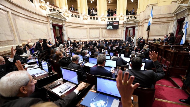 El Senado va por otro revs contra el Gobierno: rechazar los vetos de Javier Milei al Garrahan y las Universidades