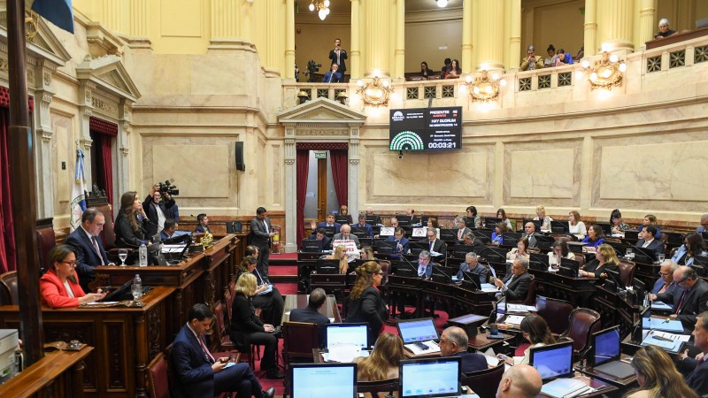 El Senado rechaz los vetos de Javier Milei al financiamiento universitario y la emergencia peditrica