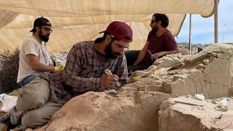 El Conicet transmite en vivo la bsqueda de dinosaurios en la Patagonia