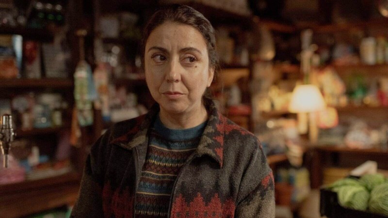 Quien es Carmen Ruiz en Animal, la nueva serie espaola de Netflix?