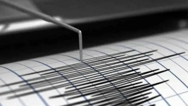 Temblor en Mendoza: as fue el sismo que sacudi la maana