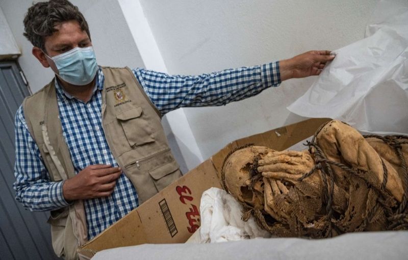 Una momia preincaica revoluciona al mundo