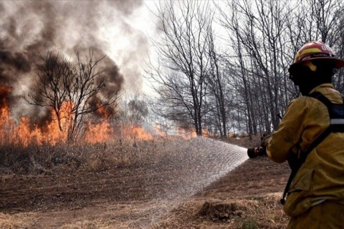 Incendios en Corrientes: el 40% del Parque Nacional Iberá está perdido