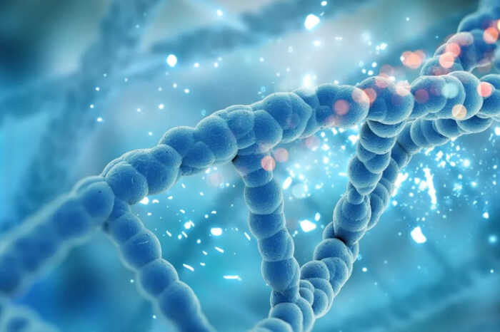 Científicos terminaron de decodificar el primer genoma humano completo
