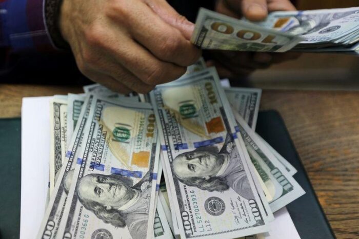 Tiembla el hornero: nuevo récord del dólar blue