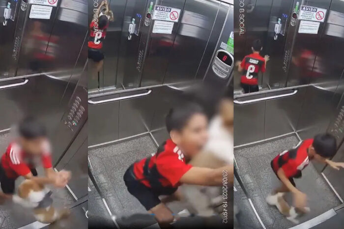Impresionante: un niño salvó a su perra de que muriera ahorcada en un ascensor