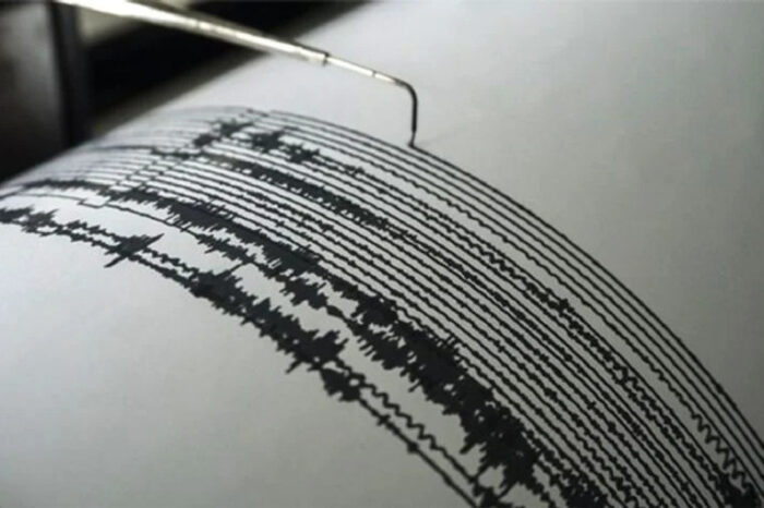 Un fuerte temblor en Chile se sintió en Mendoza